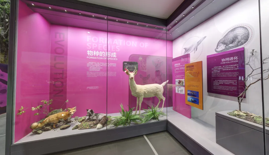 河南省科技馆新馆