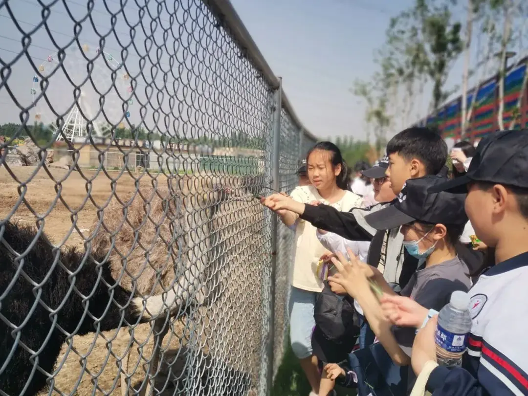 沉浸研学 寓学于游——沁阳市实验小学开展研学旅行实践活动