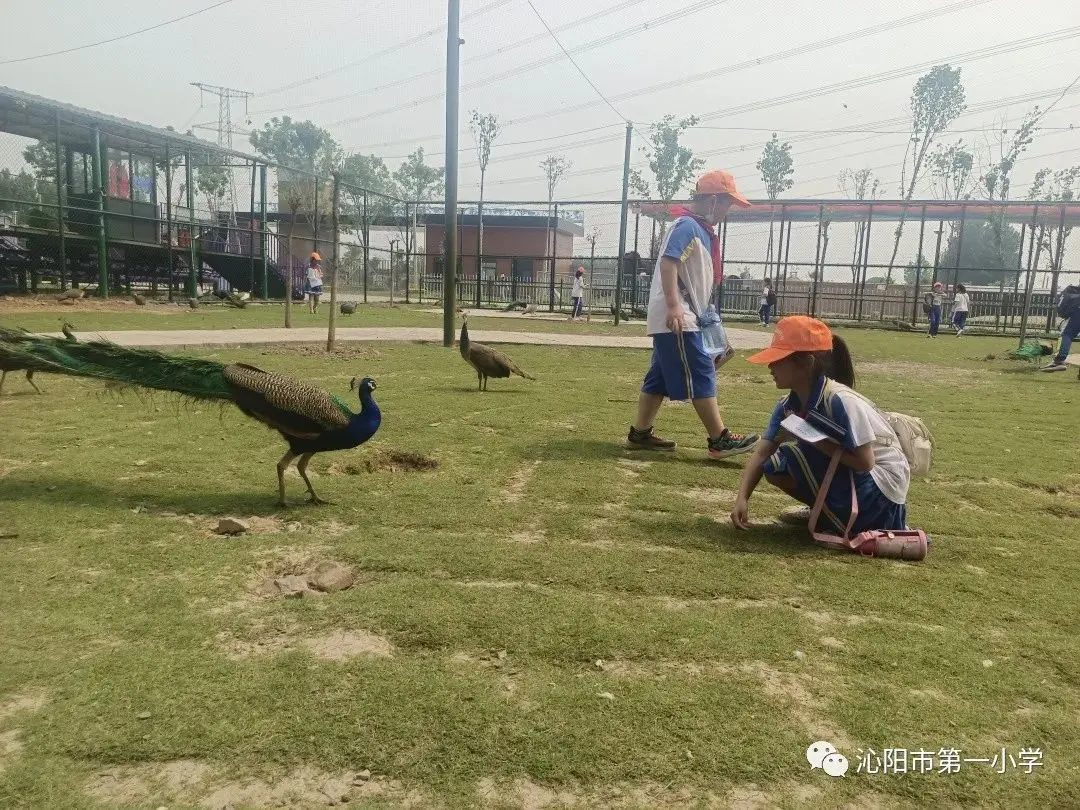 探索神奇自然 研学千年古陶 —— 沁阳市第一小学研学活动启动