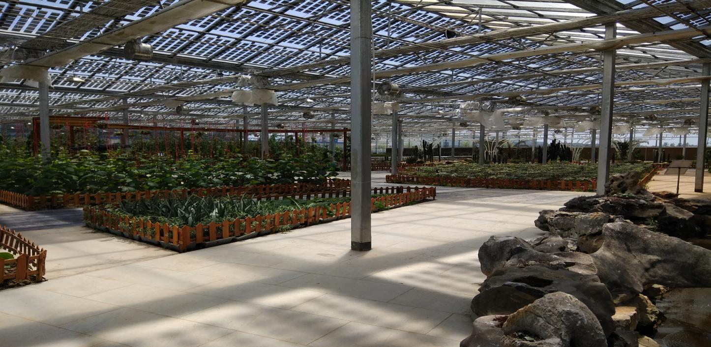 焦作茁成研学旅行实践基地