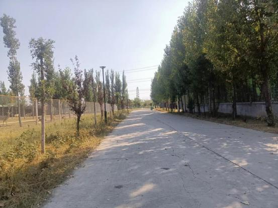 和生森林动物乐园